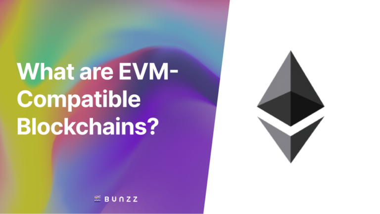 What are EVM-Compatible Blockchains?